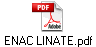 ENAC LINATE.pdf