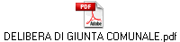 DELIBERA DI GIUNTA COMUNALE.pdf