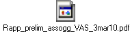 Rapp_prelim_assogg_VAS_3mar10.pdf