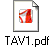 TAV1.pdf