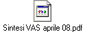 Sintesi VAS aprile 08.pdf