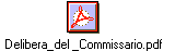 Delibera_del _Commissario.pdf