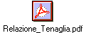 Relazione_Tenaglia.pdf
