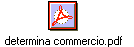 determina commercio.pdf