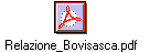 Relazione_Bovisasca.pdf