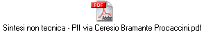 Sintesi non tecnica - PII via Ceresio Bramante Procaccini.pdf