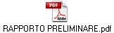 RAPPORTO PRELIMINARE.pdf