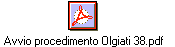 Avvio procedimento Olgiati 38.pdf