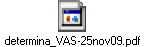determina_VAS-25nov09.pdf