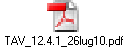 TAV_12.4.1_26lug10.pdf
