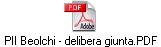 PII Beolchi - delibera giunta.PDF